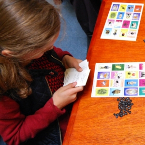 Loteria: La Suerte Que Habla